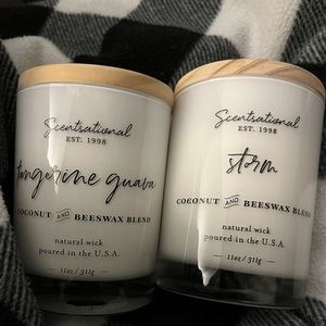 Scentsational Coconut and Beeswax Blend Natural Wick candles